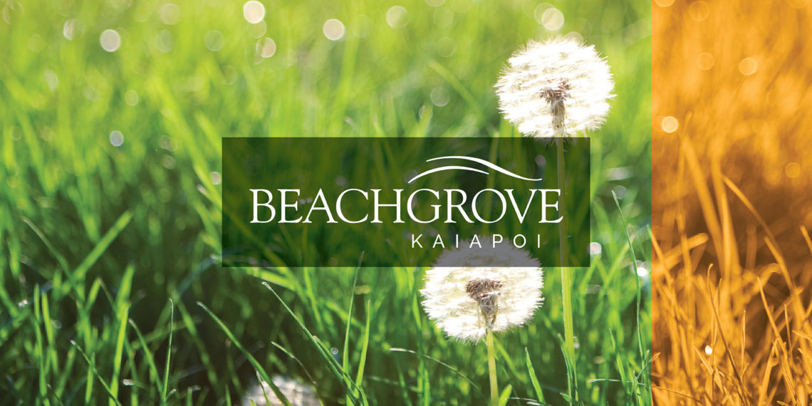 Beach Grove Kaiapoi logo