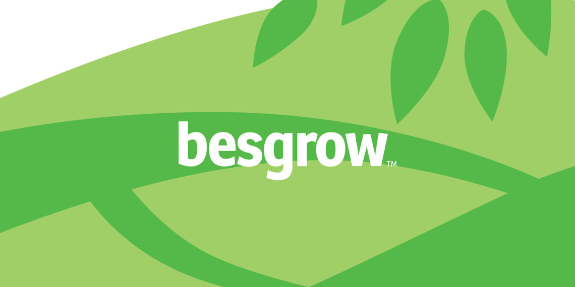 Besgrow Brand Development Logo